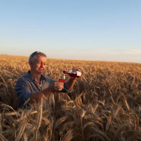 Appartement Ein Bett Im Kornfeld - Haus Morgensonne - Mit Innenpool