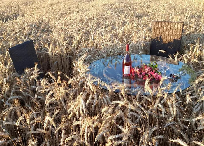 Ein Bett Im Kornfeld - Haus Morgensonne - Mit Innenpool *