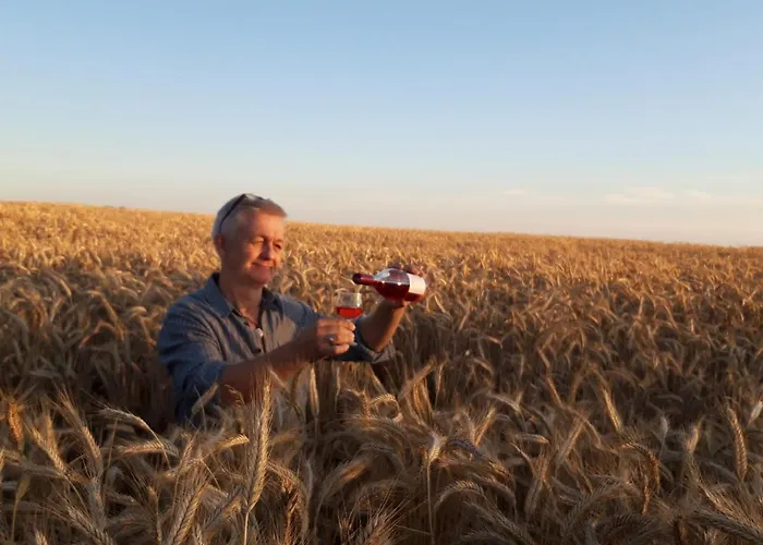 Lejlighed Ein Bett Im Kornfeld - Haus Morgensonne - Mit Innenpool
